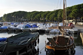 Sailing boats, boats and yachts in the marina of Bolsena, Porto Turistico di Bolsena, pine avenue,