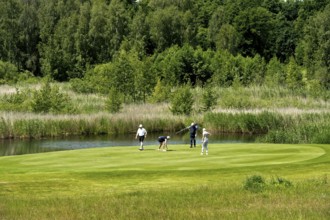 Golfers on the putting green of the golf course at the Golfhotel Balmer See Hotel-Golf-Spa, Balm,