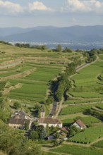 Het uitzicht toont een schilderachtig dorp omringd door uitgestrekte wijngaarden op de heuvels, met