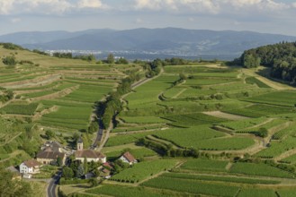 Het uitzicht toont een schilderachtig dorp omringd door uitgestrekte wijngaarden op de heuvels, met