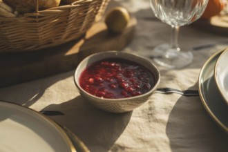 Small bowl with finely pureed cranberry sauce on simple Thanksgiving table. Symbol of traditional
