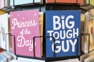 Stereotypical pink and blue birthday greeting cards for children on a rack. Societal expectations