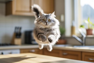 Luffy cat mid-air jumping over kitchen counter. Concept of playful energy and curiosity. Generative
