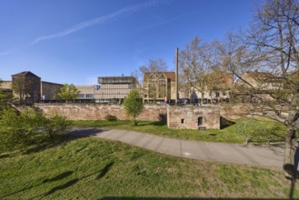 Square, city fortifications, city wall, footpath, trees, lawn, general architecture, Sterntor
