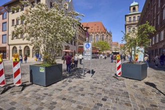 Pedestrian zone, barrier beacons, flower pots, blossoming tree, Canadian rock pear (Amelanchier