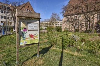Edible city Jakobsplatz, city garden, gardens, trees, general architecture, Jakobsplatz, Nuremberg,