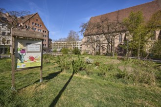 Edible city Jakobsplatz, city garden, gardens, trees, general architecture, St. Jakob, church, blue