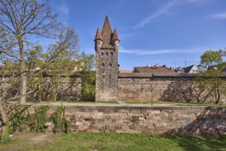 Old Town, Zwinger, city fortification, city wall, tower, historic buildings, trees, meadow, blue