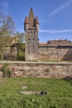 Old town, city fortification, Zwinger, city wall, historical buildings, tower, trees, meadow, blue