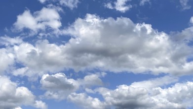 White clouds Altocumulus in front of blue sky. international