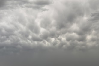 Gathering thunderstorm front Rain front, thunderstorm front