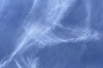 Fibrous veil clouds Feather clouds Cirrus in front of blue sky. international