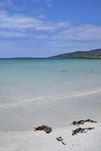Calm beach with blue sky, clear water and seaweed in the foreground, Outer Hebrides, Eriksay,