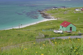 Green pastures with a red shed on a rocky coast by the sea, Outer Hebrides, Eriksay, Scotland,
