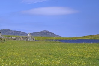 Wide green flower meadow with ruins against a mountainous backdrop under a blue sky, Outer