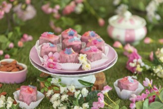 Pink petit fours with flower decorations on a plate in a colourful, floral setting