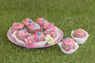 Pink petit fours with flower decoration on a plate in the grass