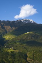 View of the Sonnenberg with Annenberg Castle and the farms above in the evening light, Dolomites,