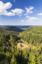 View of the silted-up Ellbachsee, a cirque lake, from the Ellbachseeblick viewing platform with