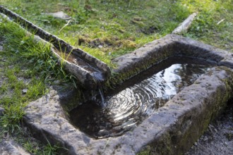 Ellbachsee view fountain, wooden water channel and sandstone water basin, Baiersbronn, Northern