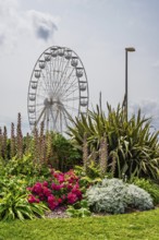 Royan, Nouvelle-Aquitaine, Charente-Maritime, France