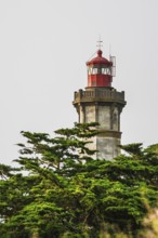 WHALE LIGHTHOUSE, Saint-Clement-des-Baleines, Atlantic, France