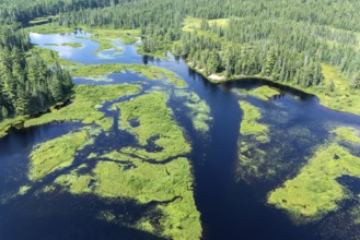 Lake and islands with vegetation, Boreal forest, Mastigouche wildlife reserve, Region of La
