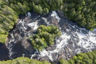 Rapids, White waters flowing through the boreal forest, River du Loup, Mastigouche wildlife