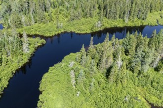 River du Loup, River flowing trough the boreal forest, Mastigouche wildlife reserve, Region of La