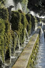 Avenue of a Hundred Fountains, Viale delle Cento Fontane, Renaissance garden of Villa d'Este, water