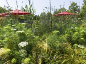 Natural garden, red parasols at the back