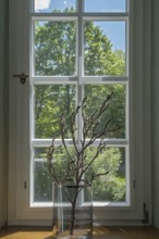 A window with a glass jar full of branches and a view of green trees, MÃ¼nsterland, North