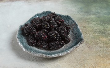 Fresh blackberry berry, on a plate, top view, no people