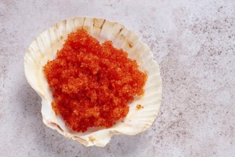 Orange flying fish roe, Tobiko roe, in a seashell, top view