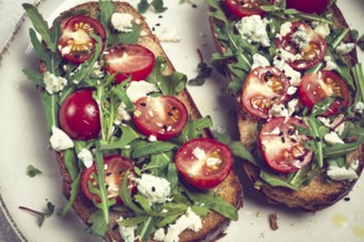 Arugula sandwiches and cherry tomatoes, cheese with mold, breakfast, snack, homemade