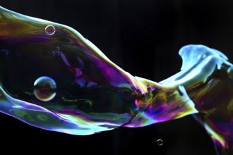 Large, iridescent soap bubble tube in the colours of the rainbow against a black background,