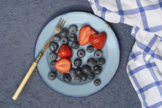 Plate with strawberries and blueberries, Fragaria, Vaccinium
