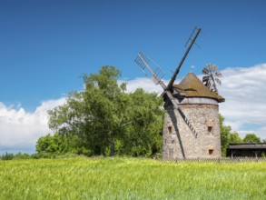 Old windmill behind a fence in a green field in spring, tower windmill, Endorf, Saxony-Anhalt,