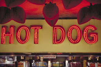 Illuminated advertising at a hot dog stand, New York City, USA