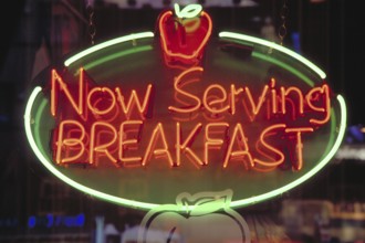 Morning illuminated advertising at a restaurant, New York City, USA