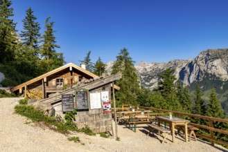 SchÃ¤rtenalm, behind the Reiteralpe, Berchtesgaden National Park, Ramsau, Berchtesgadener Land,