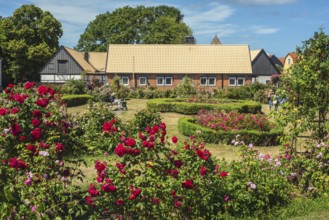 Rose Square in Simrishamn, SkÃ¥ne County, Sweden, Scandinavia