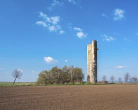 Ruin Gaterslebener Warte, watchtower, part of the Quedlinburg town fortifications, in front a