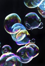 Iridescent soap bubbles in the colours of the rainbow against a black background, Recklinghausen,