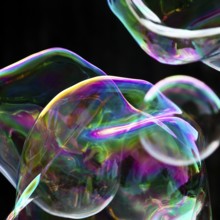 Large, irregular, iridescent soap bubbles in the colours of the rainbow against a black background,