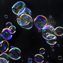 Iridescent soap bubbles with a just burst bubble in front of a black background, Recklinghausen,
