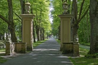 Long avenue with tall columns and statues, lined with lush green trees, in the sunlight, entrance