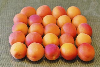 Fresh apricots (Prunus armeniaca) for sale at a fruit and vegetable market, Frauenkirchen,