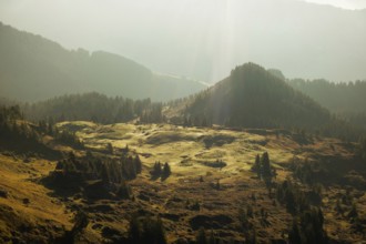Diffuse incidence of light... High plateau (Swiss Alps) in the Bernese Oberland, immerses the