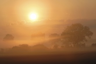 Intensely bright sunrise over an open cultivated landscape dominated by wet meadows, fields, bushes